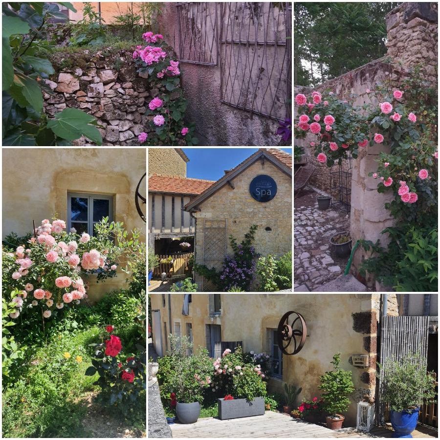 Gîte&Spa Moulin de Barutel Mamers Extérieur photo